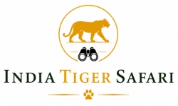 Tiger-Safari-Logo