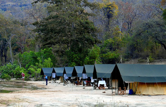 Walking safari in India