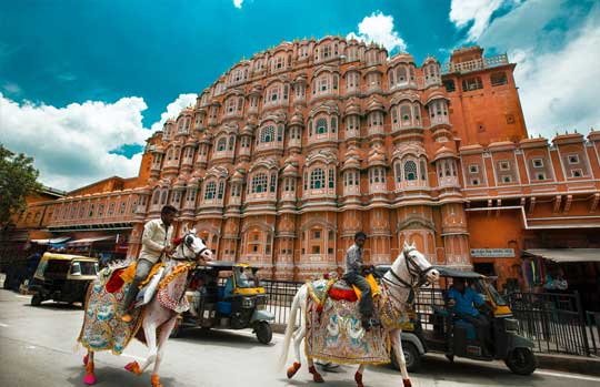 Wildlife safari in india tour